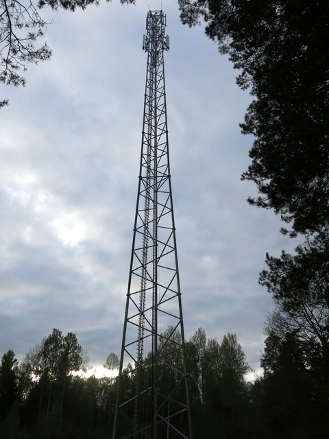 IMG-4745
