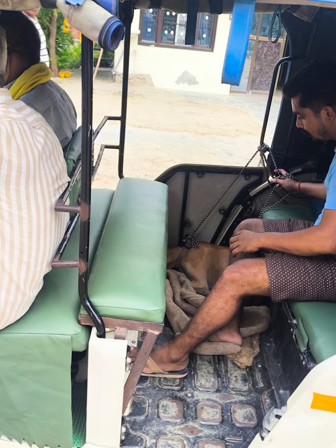 Chai after the accident