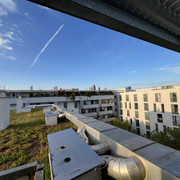 IMG-2736
