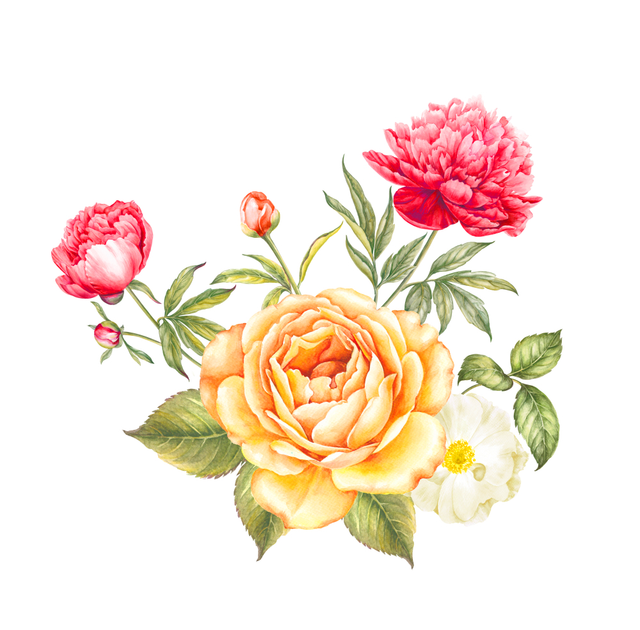 ce8bd75609249f3a376b60a0107deb42.png