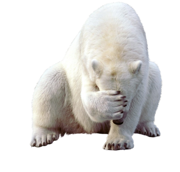 94915962.png