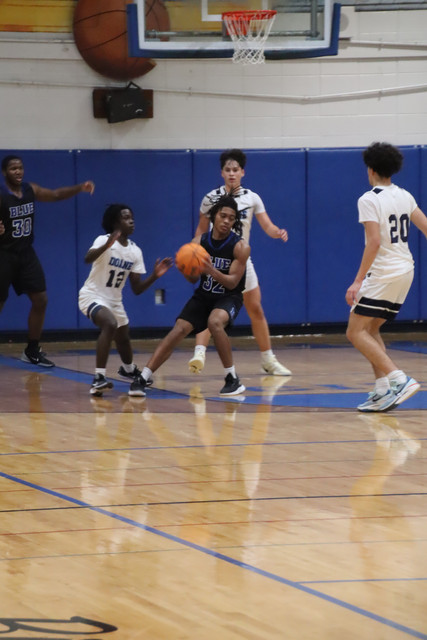 IMG-2047.jpg