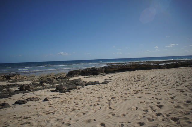 DSC01260