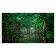 701729-Natureza