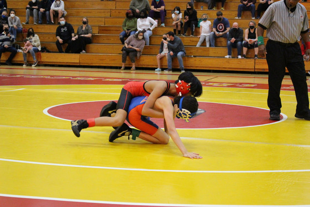 IMG-0029