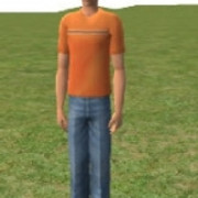 Self-Sim-Sim-Monte