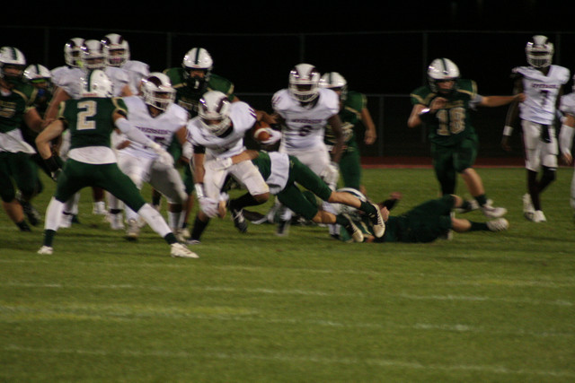 IMG-6631.jpg