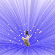 image.gif