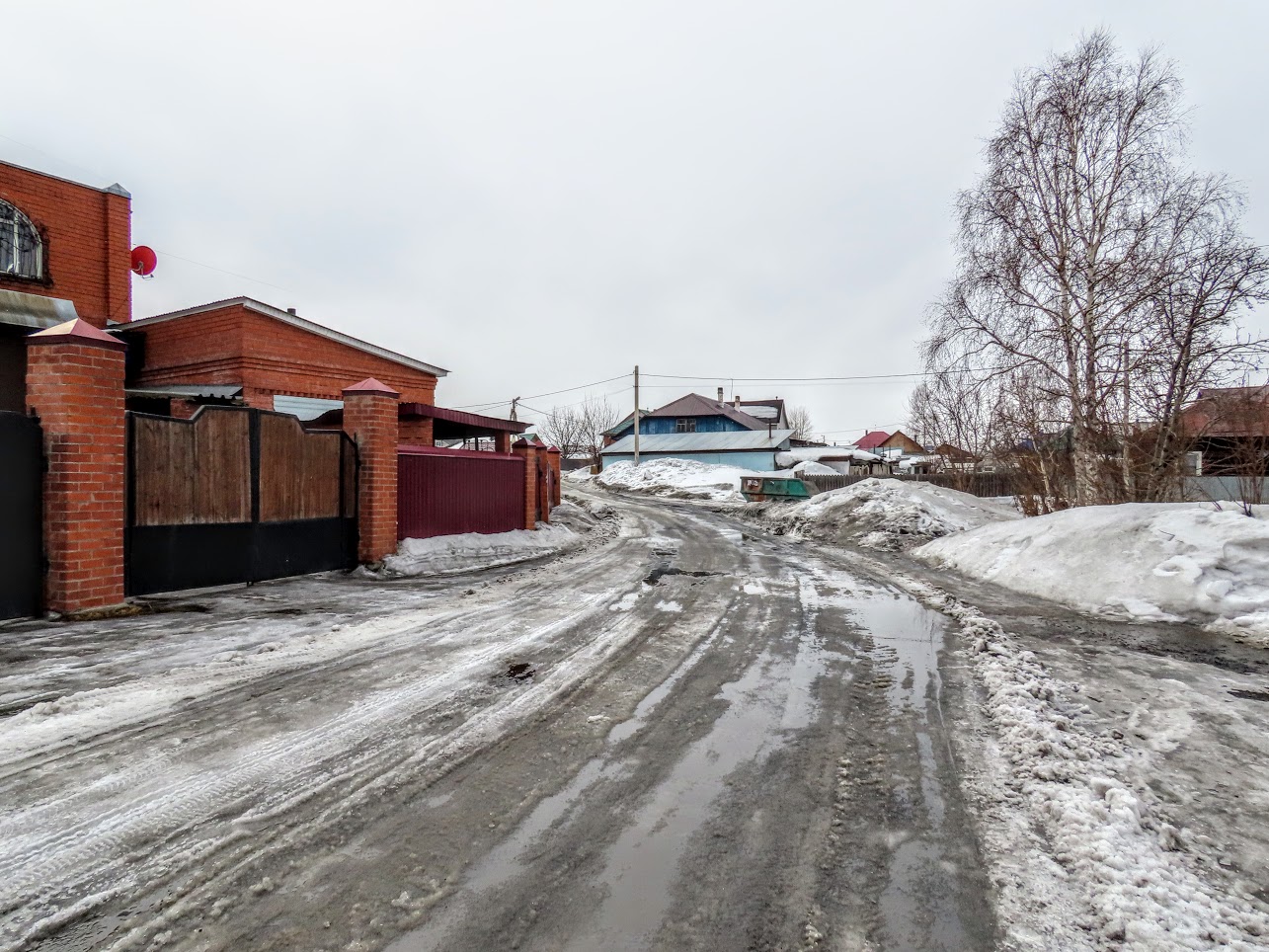 IMG-0677