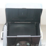 IMG-2578