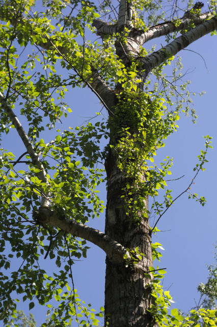 DSC3863.jpg