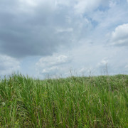 P1330198