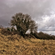 IMGP8684
