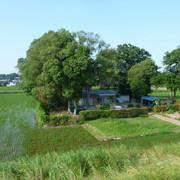 2021-06-10-255