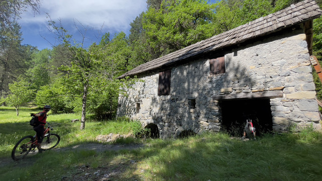https://i.ibb.co/6XbGFVn/Guillaumes-5.jpg