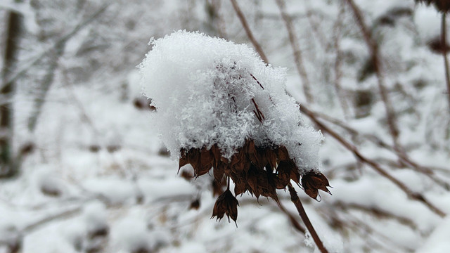 IMG20211123110354.jpg