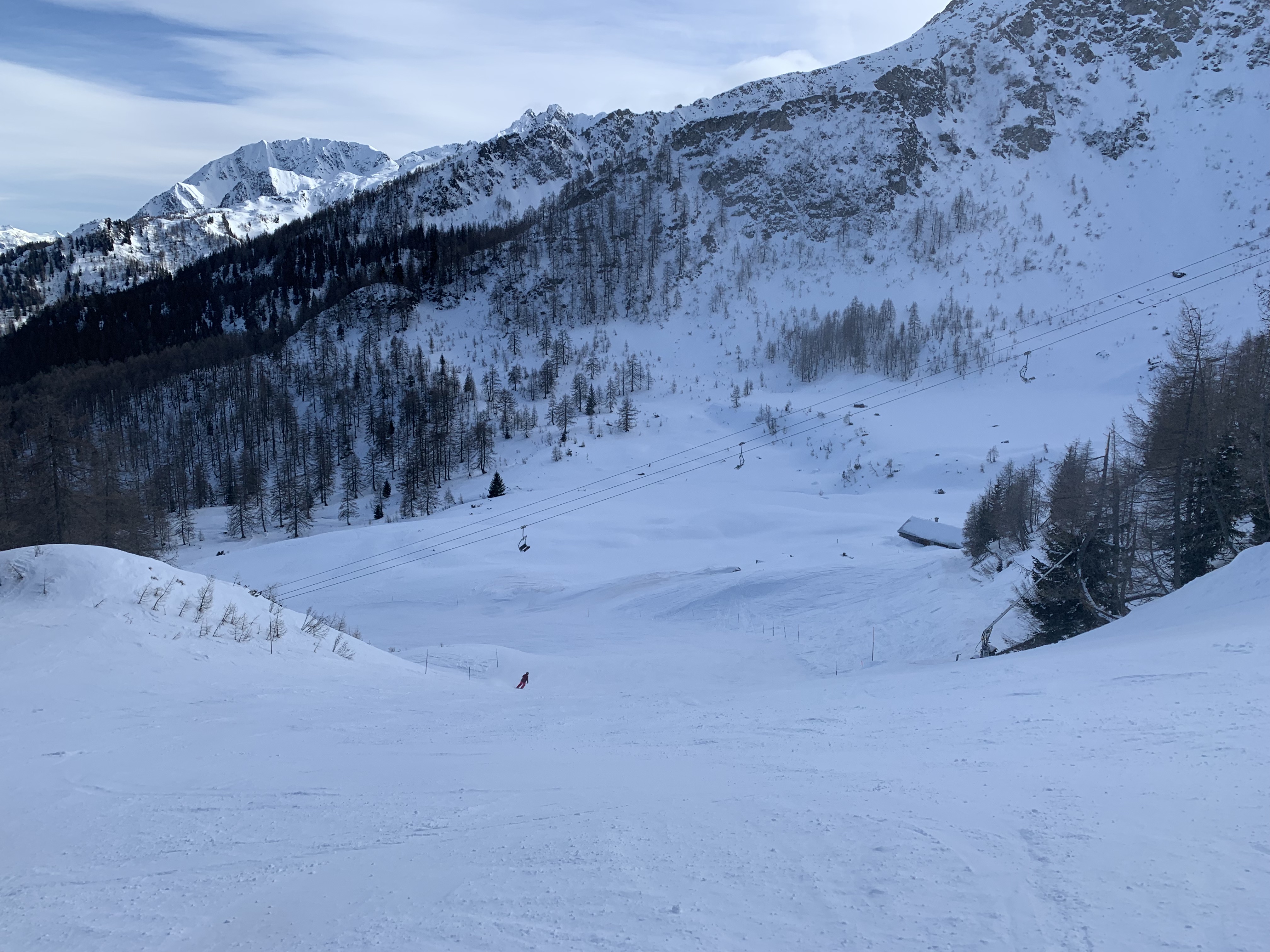 IMG-0804.jpg