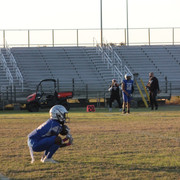 IMG-0029