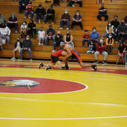 IMG-0292