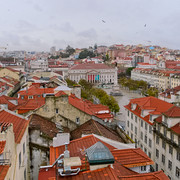 IMGP7723