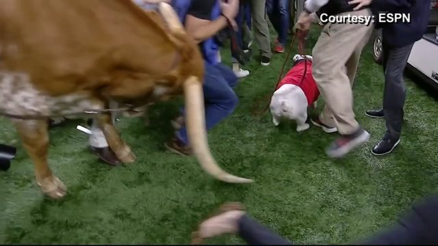 UGAattack-Betterpic-1546398356808-141262