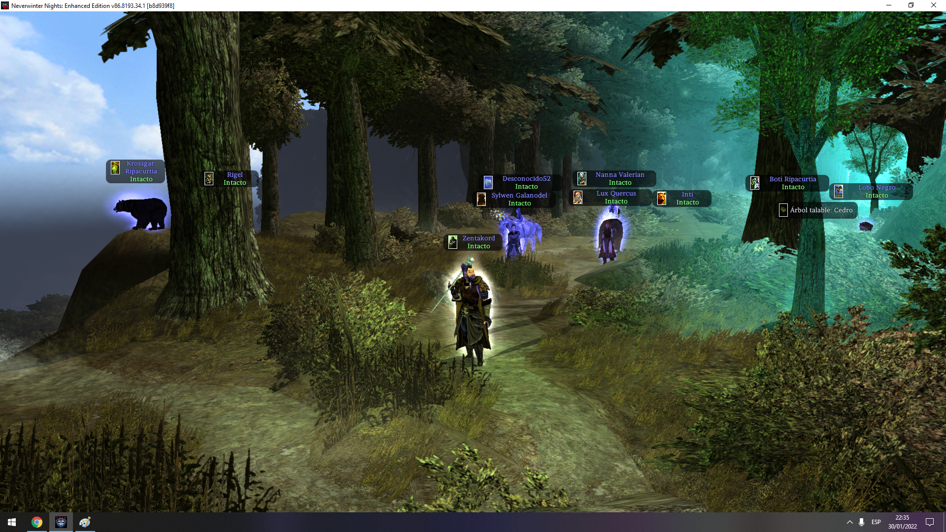 paseo2.png