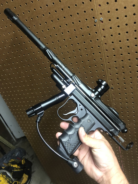 PB-cocker2