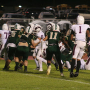 IMG-6480