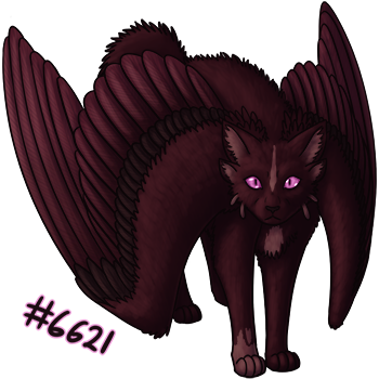 Pet Image