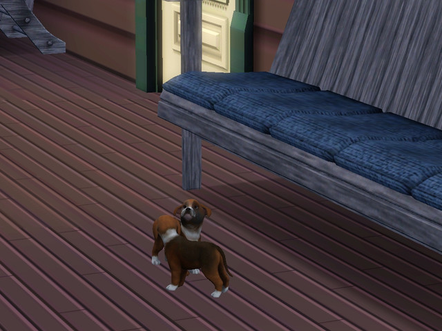 Screenshot-324