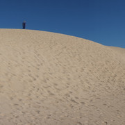DSCF8584