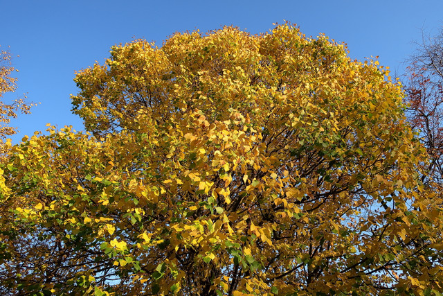 IMG-02820002