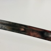 IMG-E5622