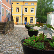 IMG-2924