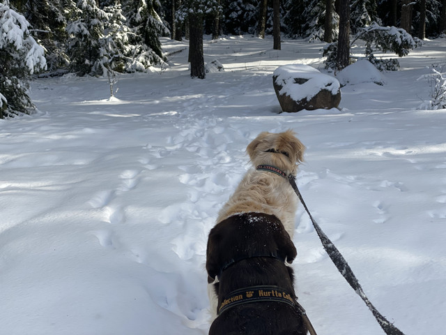 44-A57-C13-4-FD4-4-A2-A-A007-6120-CB3-C5