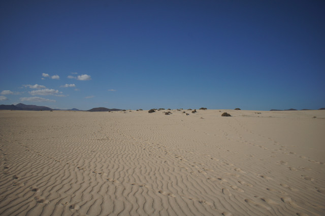 DSC01206