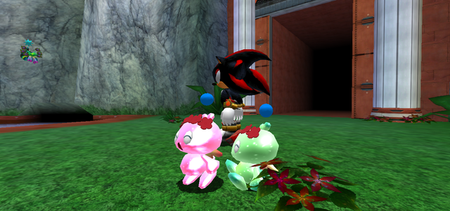 Coral-sings.png