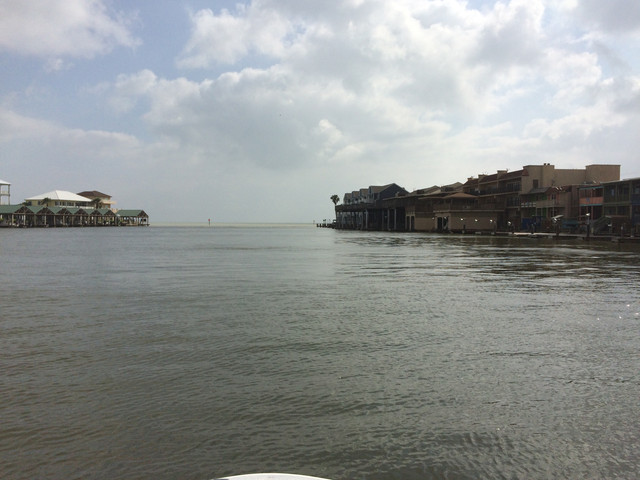 IMG 1337.jpg