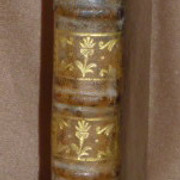 P1130202