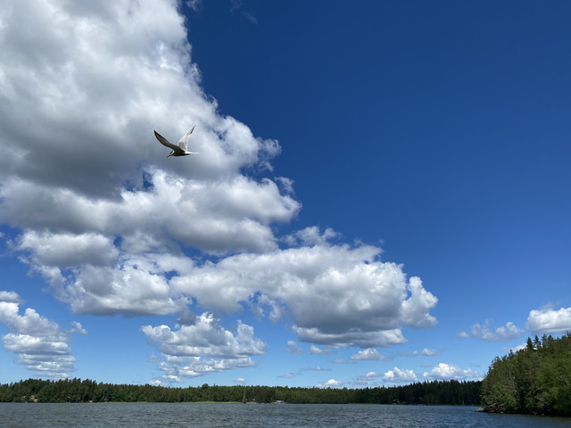 56-EC4-A76-FBAD-45-AA-AF09-5-F9818-CF089