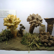 DSC00393