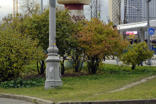 DSC7612.jpg