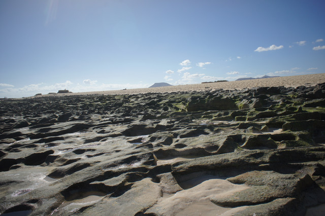 DSC01285.jpg