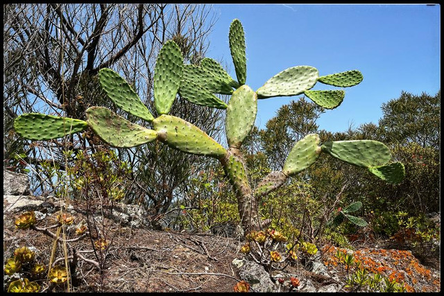 comp-IMG-7590