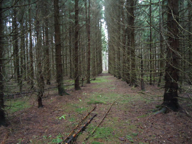 IPB Image