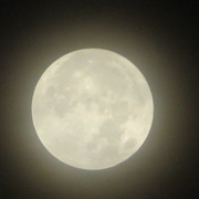 moon-002