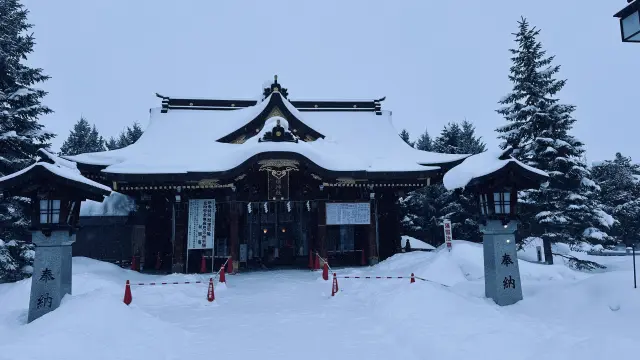 美瑛神社1.webp
