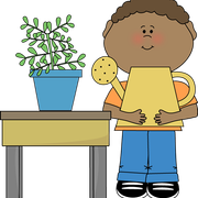 classroom-plant-helper