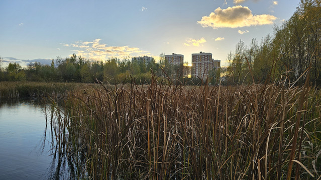 20261007-162437.jpg