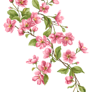 c75b42ecc645625d4a944d46ce1da6d0